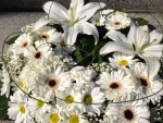 ccwa-2014-wreath-laying-24.jpg